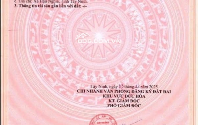 Siêu phẩm đất mặt tiền đường nhựa Thị Trấn Hậu Nghĩa, Long An, giá đầu tư