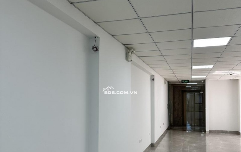 Chính chủ Cho thuê toà nhà làm văn phòng và kinh doanh dịch vụ: spa ,thẩm Mỹ,răng hàm mặt