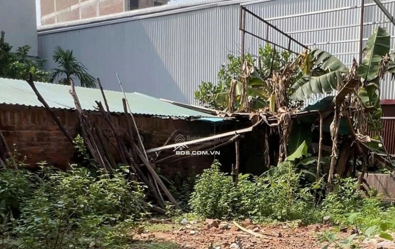 Chính chủ bán 110,7m2 đất gần chân cầu Phùng, Hiệp Thuận, Phúc Thọ, Hà Nội, phù hợp đầu tư