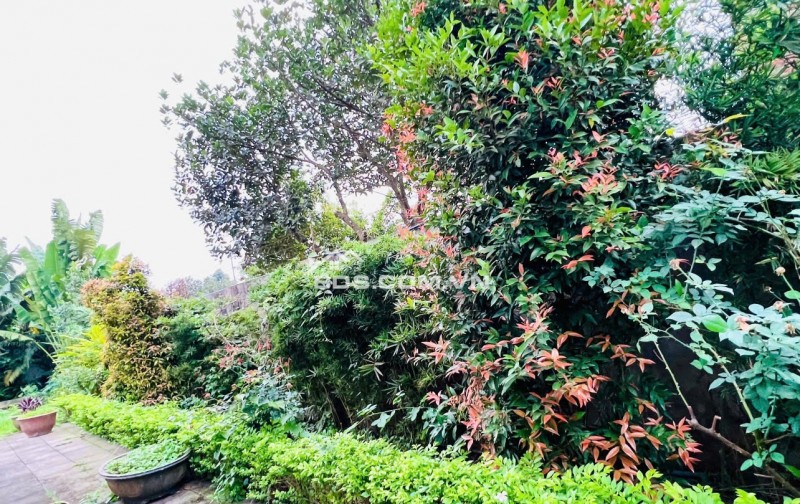 Bán nhà vườn đẹp 514 m2 chính chủ tại Sài Sơn, Quốc Oai, Hà Nội, giá 19,x tỉ