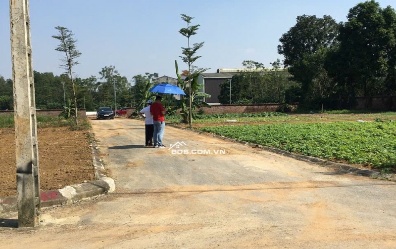 Chính Chủ Bán đất Liền Kề : 101.7m2 đất fun thổ cư. 4.x tỷ . Thôn 7 Phú Cát / Hòa Lạc/ Hà Nội, lh 0966329691