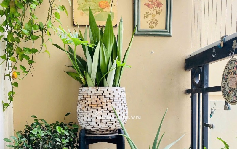 Giá 13tr5/th, C/c Mỹ Phước, Bùi Hữu Nghĩa, BT: 3p ngủ,  Full NT, 95m2.