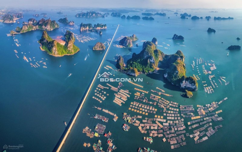 Chỉ 1,5 tỷ sở hữu STUDIO View Vịnh Bái Tử Long tại CRYSTAL HOLIDAY HARBOUR VÂN ĐỒN – QUẢNG NINH