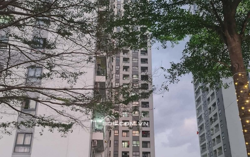 Bán Chung Cư Hòa Bình SUDIC , 66m2 , 2PN , Giá rẻ