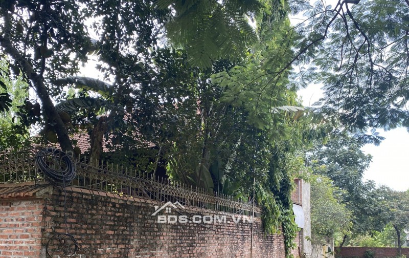 CHÍNH CHỦ CẮT LỖ 300TR BÁN NHANH 2 LÔ MẶT ĐƯỜNG PHÚ CÁT, CÁCH ĐẠI HỌC QUỐC GIA 1KM.