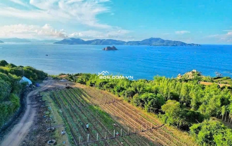 bán đất nghĩ dưỡng tại Gành Đá Đĩa Phú Yên