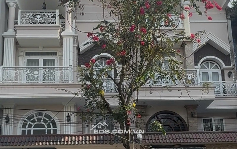 BÁN NHÀ BIỆT THỰ KDC HƯƠNG LỘ 5, P. AN LẠC, Q. BÌNH TÂN ,PHONG CÁCH TÂN CỔ ĐIỂN, MÁI NGÓI, CHÍNH CHỦ