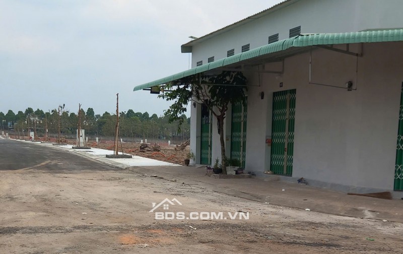 Trục chính Hoàng Hưng Thịnh TP Đồng Xoài tiềm năng tăng giá bậc nhất khu vực