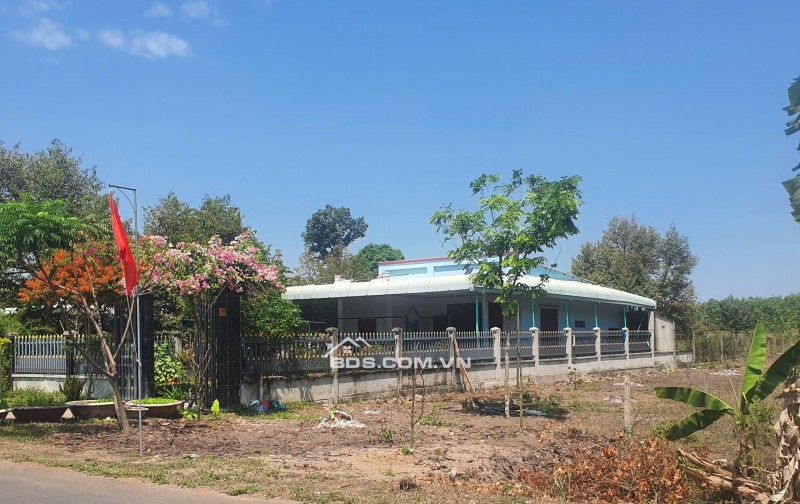 Tôi Cần Bán Đất, Dân Cư Đông, diện tích 525m2 thổ cư sẵn, Gần Chợ, Gần Trường học