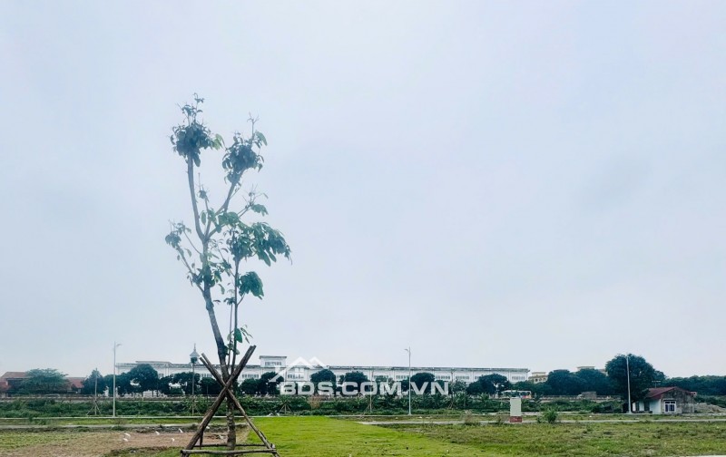 4ty850 CẦN BÁN LÔ XẺ KHE KĐT HOÀNG LÝ – HOÀNG ĐÔNG DUY TIÊN HÀ NAM