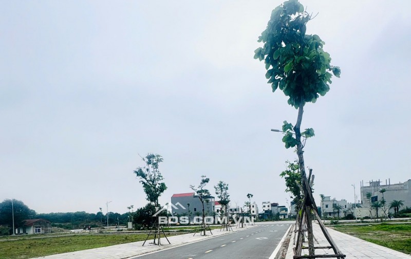 4ty850 CẦN BÁN LÔ XẺ KHE KĐT HOÀNG LÝ – HOÀNG ĐÔNG DUY TIÊN HÀ NAM