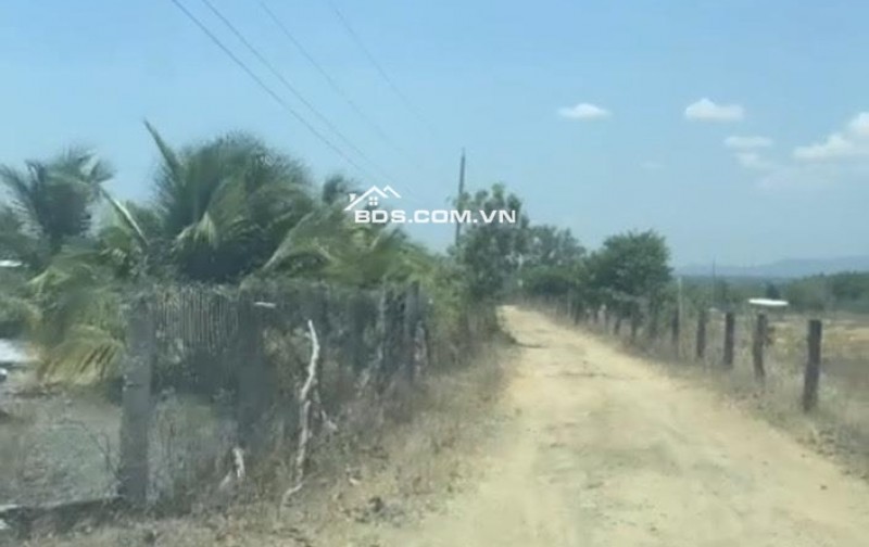 Cần chuyển nhượng lô đất lý tưởng cho mô hình trang trại tại Thôn 2, xã Hồng Sơn,Lâm Đồng