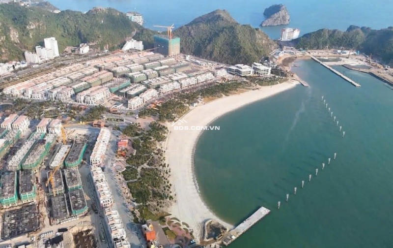 The Xanh 3 Toà căn hộ cao cấp 3 mặt view biển - đơn vị vận hành quốc tế 5 sao chỉ 500tr sở hữu ngay viên ngọc quý giữa vịnh di sản