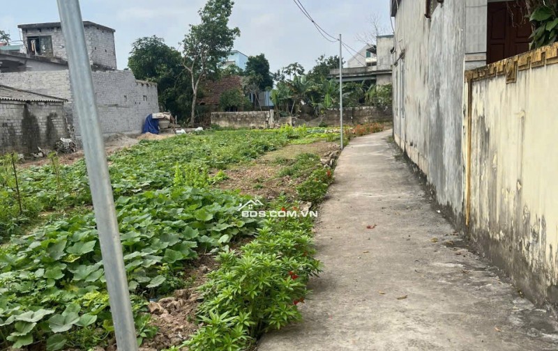 Chỉ 980 Triệu Cần bán lô đất 66m² – Liêm Hà, Thanh Liêm, Hà Nam