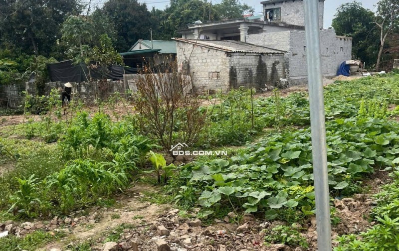 Chỉ 980 Triệu Cần bán lô đất 66m² – Liêm Hà, Thanh Liêm, Hà Nam