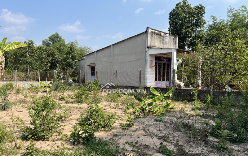 Bán đất ngộp diện tích 136m2, Giá 250 triệu, sổ sẵn tại xã Tân Hiệp, Phú Giáo, Bình Dương