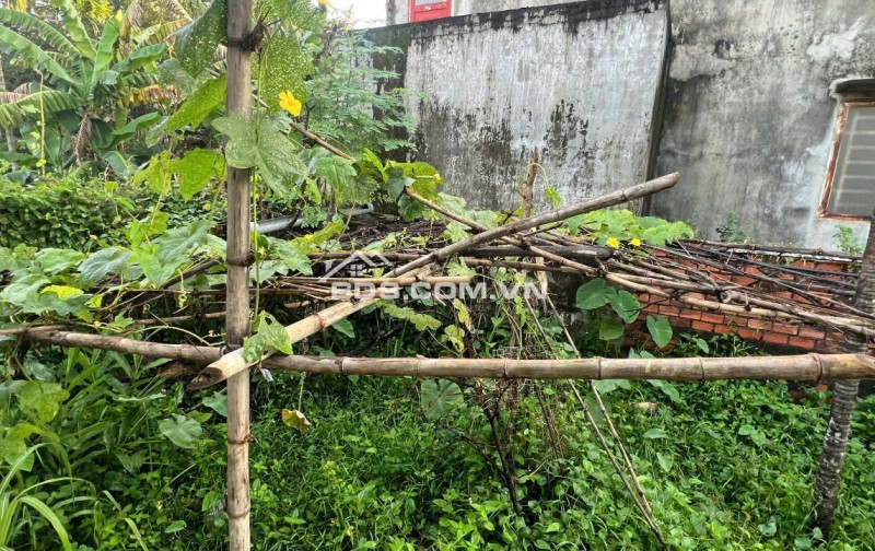 LÔ ĐẤT TIỀM NĂNG TẠI BÌNH NHÂM THUẬN AN. 10X15 SẴN SỔ, CHỈ 4.3TỶ. LH:0399058768