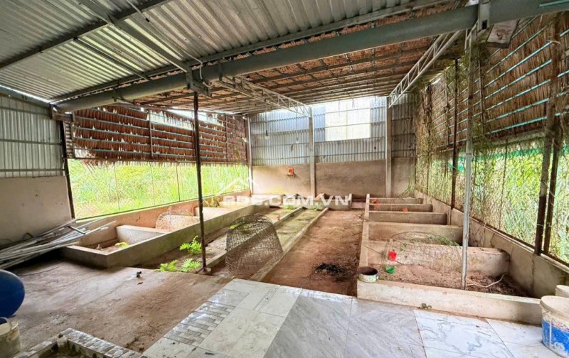 Vùng ngoại ô có căn nhà c4 sân vườn mái thái cực thoáng cần bán giá 970Tri.ệu, Sổ Hồng Riêng