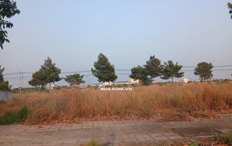 ĐẤT ĐẸP KHU DÂN CƯ D2D LONG THÀNH – DIỆN TÍCH LỚN, GIÁ CHỈ 4 TỶ