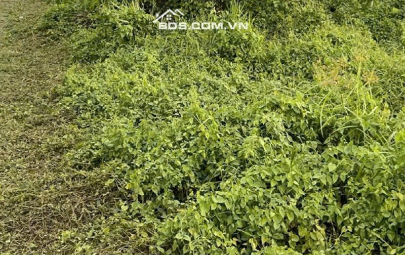 KẸT  TIỀN CẦN BÁN LÔ ĐẤT 2 MẶT TIỀN :DT 8M X 86= 688M2 CHỈ 1.6 TỶ. LH:0903198949.