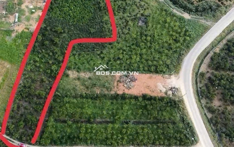 BÁN ĐẤT VIEW ĐẸP TẠI TP. BẢO LỘC – GIÁ CHỈ 1,4 TỶ/SÀO