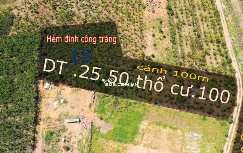 BÁN ĐẤT VIEW ĐẸP TẠI TP. BẢO LỘC – GIÁ CHỈ 1,4 TỶ/SÀO