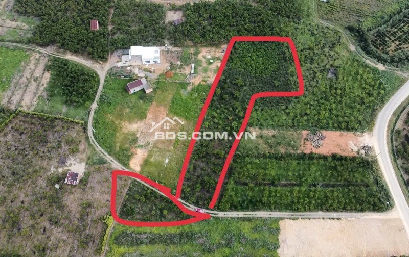 BÁN ĐẤT VIEW ĐẸP TẠI TP. BẢO LỘC – GIÁ CHỈ 1,4 TỶ/SÀO