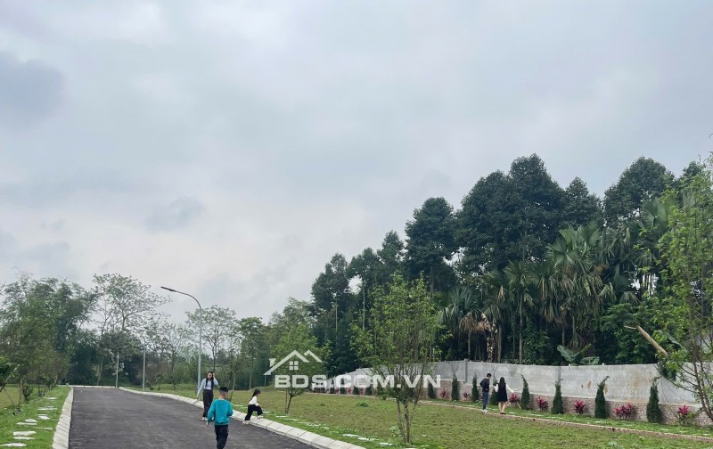 CHỈ TỪ 360 TRIỆU – ĐÓN ĐẦU SÓNG QUY HOẠCH SUN GROUP KIM BÔI!