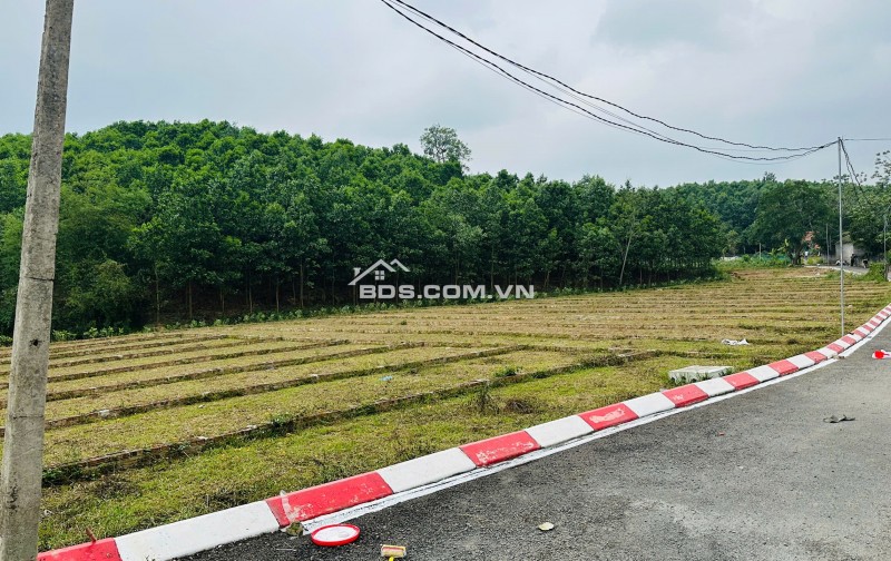 CƠ HỘI ĐẦU TƯ ĐẤT NỀN GIÁ TỐT TRUNG TÂM XÃ AN BÌNH – CHỈ TỪ 225TR/LÔ