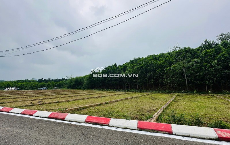 CƠ HỘI ĐẦU TƯ ĐẤT NỀN GIÁ TỐT TRUNG TÂM XÃ AN BÌNH – CHỈ TỪ 225TR/LÔ