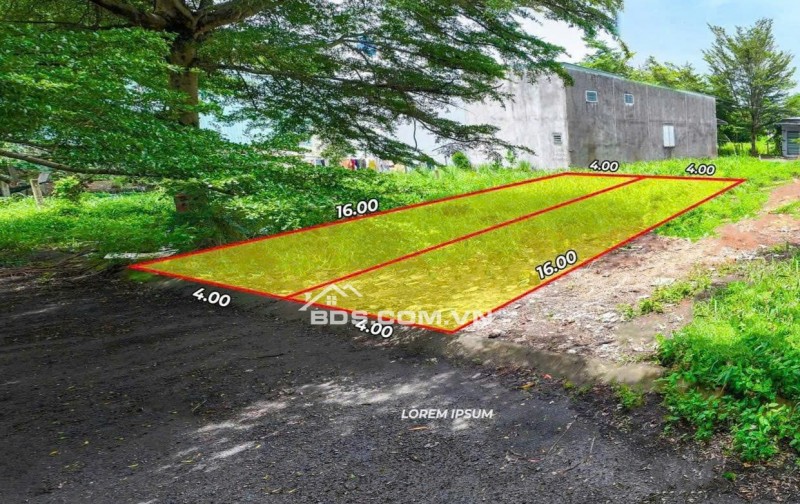 Đất Thổ Cư Long Hòa – Gần Chợ, Trường Học – Không Gian Sống Xanh Trong Lành.