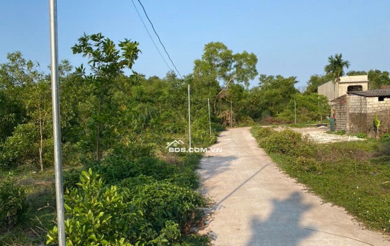 CHỈ 360TR 144M2 - ĐẤT CHÍNH CHỦ - HXH THÔN VIỄN TRÌNH - GẦN CẦU VƯỢT PHÁ. LH:0944470158.