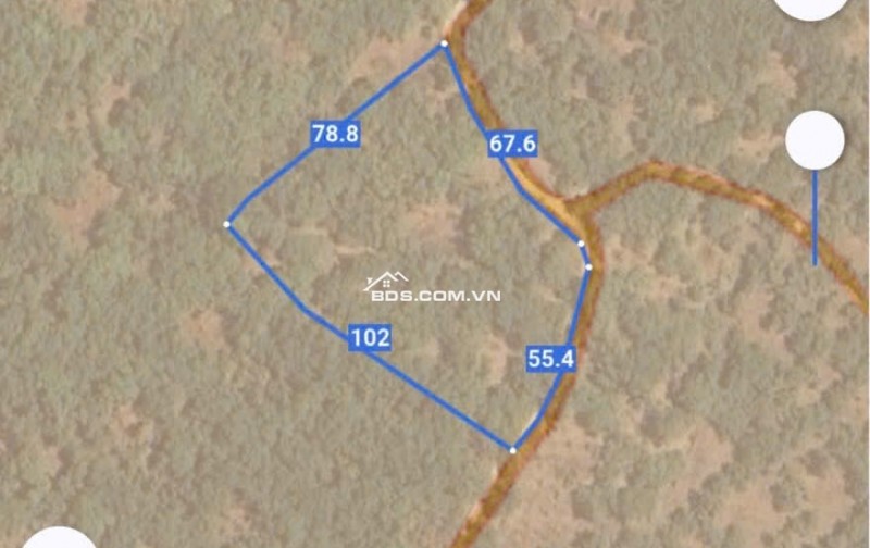 BÁN VƯỜN MÍT TẠI ĐỒNG NAI MỚI DT 5.891M2 SHR CHỈ 50TR/1000M2. LH:0869560747