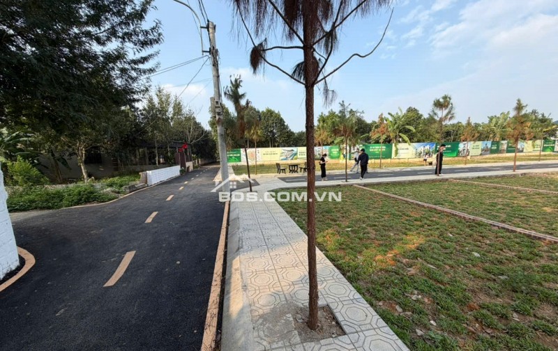 THANH KHOẢN GẤP LÔ ĐẤT RẺ HƠN LÔ BÊN CẠNH 300tr - HÒA LẠC