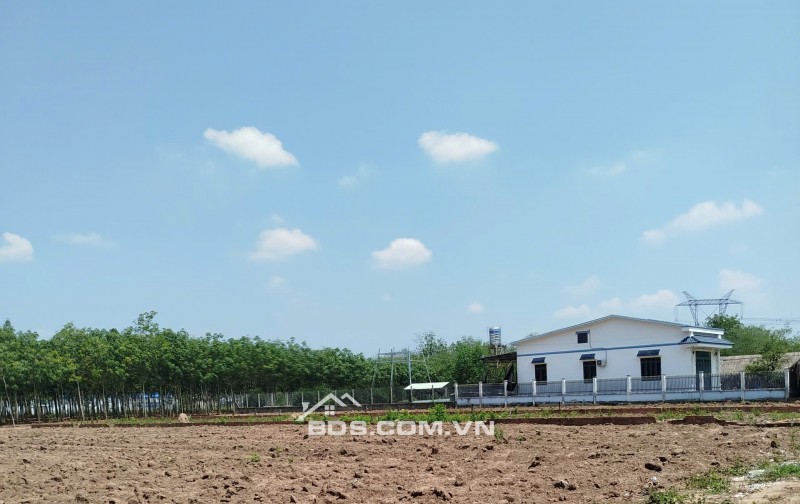 Chủ ngộp bán gấp 1230m2 đất ngang 12m, giá chỉ 480tr thuận tiện làm kho xưởng, sỗ sẵn