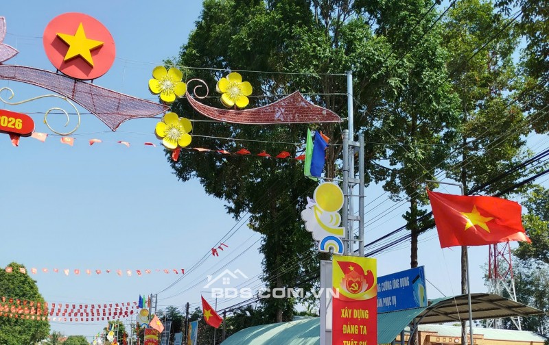 Đất sào đường nhựa 1 sẹc gần đường DH507, Phú Giáo, 3426,6m2, sát bên trường học An Linh