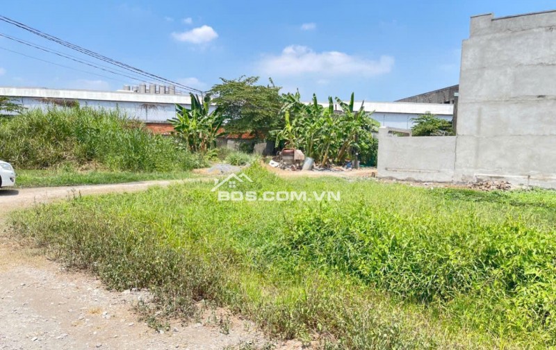 Bán đất HXH 6m Gò Hưu Mỹ Hạnh Nam Long An DT 19*20m HH 2%