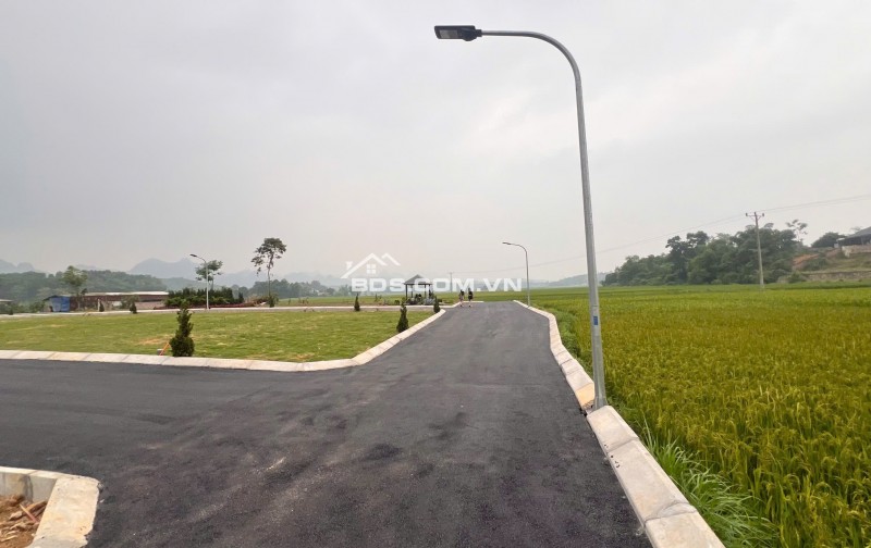 CƠ HỘI VÀNG SỞ HỮU ĐẤT NỀN GIÁ TỐT – TIỀM NĂNG SINH LỜI CAO