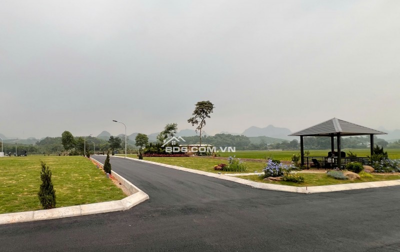 CƠ HỘI VÀNG SỞ HỮU ĐẤT NỀN GIÁ TỐT – TIỀM NĂNG SINH LỜI CAO