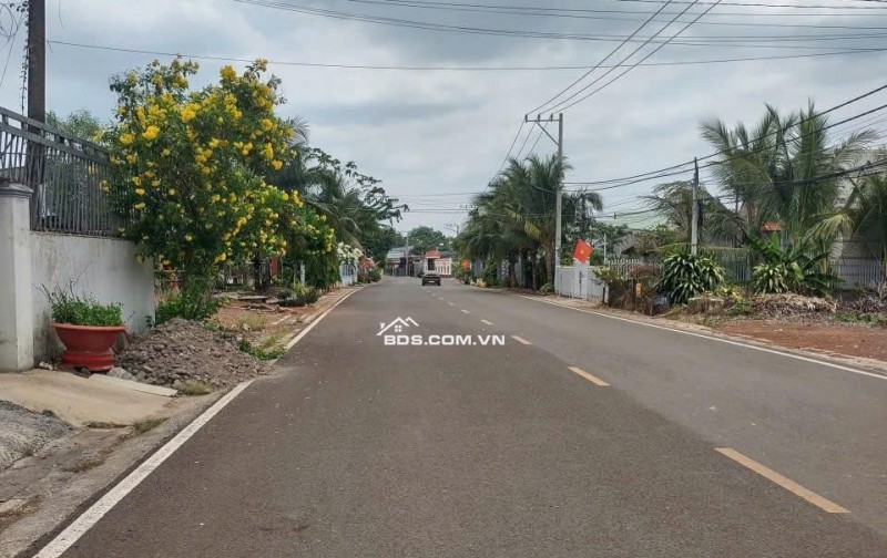 Bán gấp lô đất vàng 4196m2 - 650m2 thổ cư mặt tiền nhựa tttp đồng xoài. lh:0985962304.