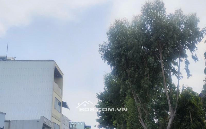 Lô góc 3 MT sát biển Sơn Trà – diện tích khủng 299m² chỉ nhỉnh 35 tỷ