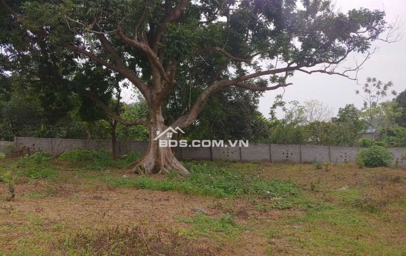 NHANH TAY SỞ HỮU LÔ ĐẤT NGHỈ DƯỠNG TẠI HÒA SƠN LƯƠNG SƠN