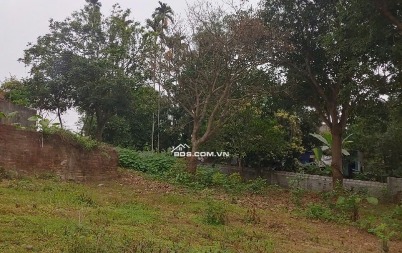 NHANH TAY SỞ HỮU LÔ ĐẤT NGHỈ DƯỠNG TẠI HÒA SƠN LƯƠNG SƠN