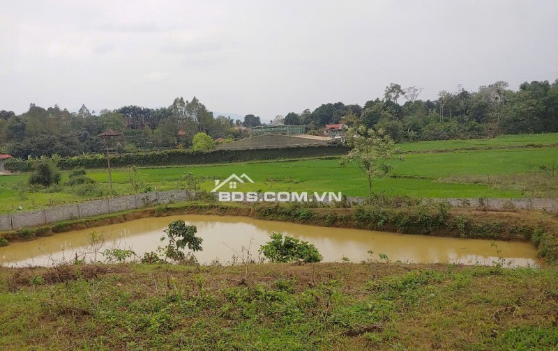 NHANH TAY SỞ HỮU LÔ ĐẤT NGHỈ DƯỠNG TẠI HÒA SƠN LƯƠNG SƠN