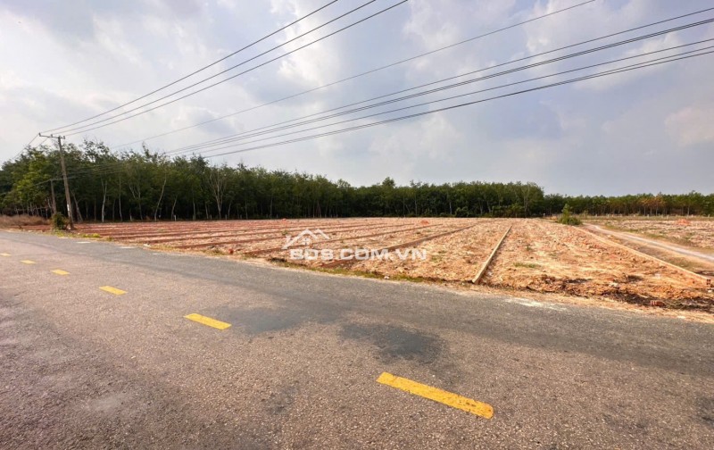 MẶT TIỀN NHỰA 30M ĐẤT NỀN HÒA HỘI - TÂY NINH GIÁ CỰC SỐC CHỈ TỪ 399 TRIỆU