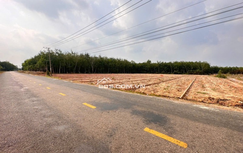 MẶT TIỀN NHỰA 30M ĐẤT NỀN HÒA HỘI - TÂY NINH GIÁ CỰC SỐC CHỈ TỪ 399 TRIỆU