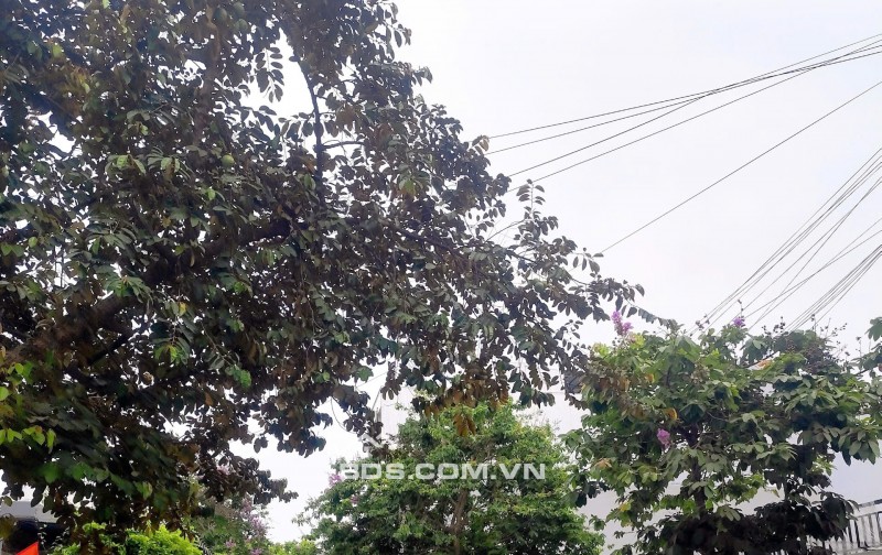 Bán đất Hòa Minh 25 – cách biển chỉ 5 phút ,Lô kẹp công viên – cực thoáng mát