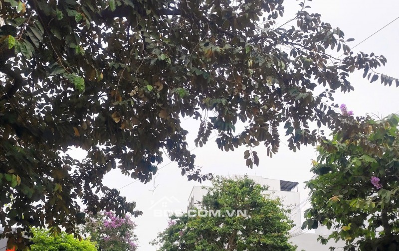 Bán đất Hòa Minh 25 – cách biển chỉ 5 phút ,Lô kẹp công viên – cực thoáng mát