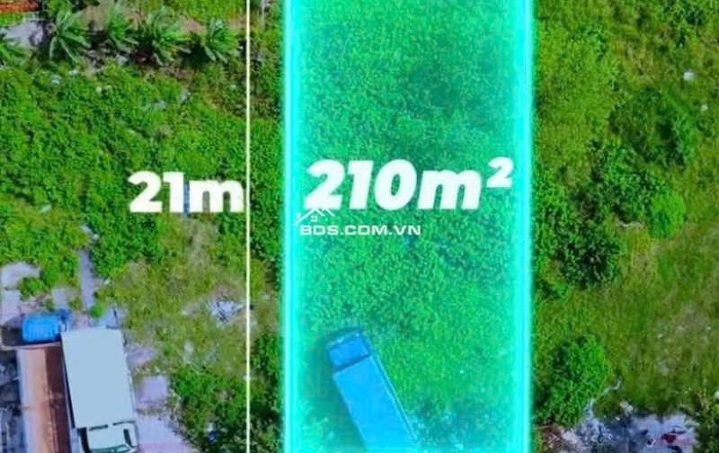  HÀNG HIẾM SÁT BIỂN – CẶP ĐẤT đường TRẦN MINH TÔNG - trục thông biển