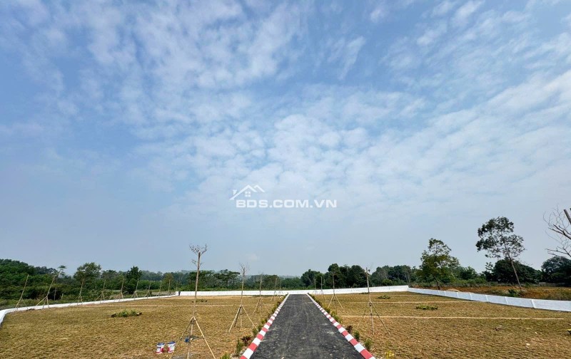 Cơ hội sở hữu lô đất đẹp hiếm tại Lương Sơn